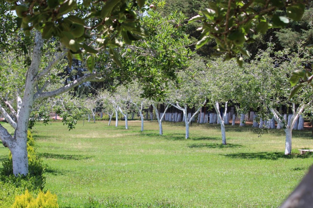 Cabanas Rancho El Mayab Zacatlan Luaran gambar